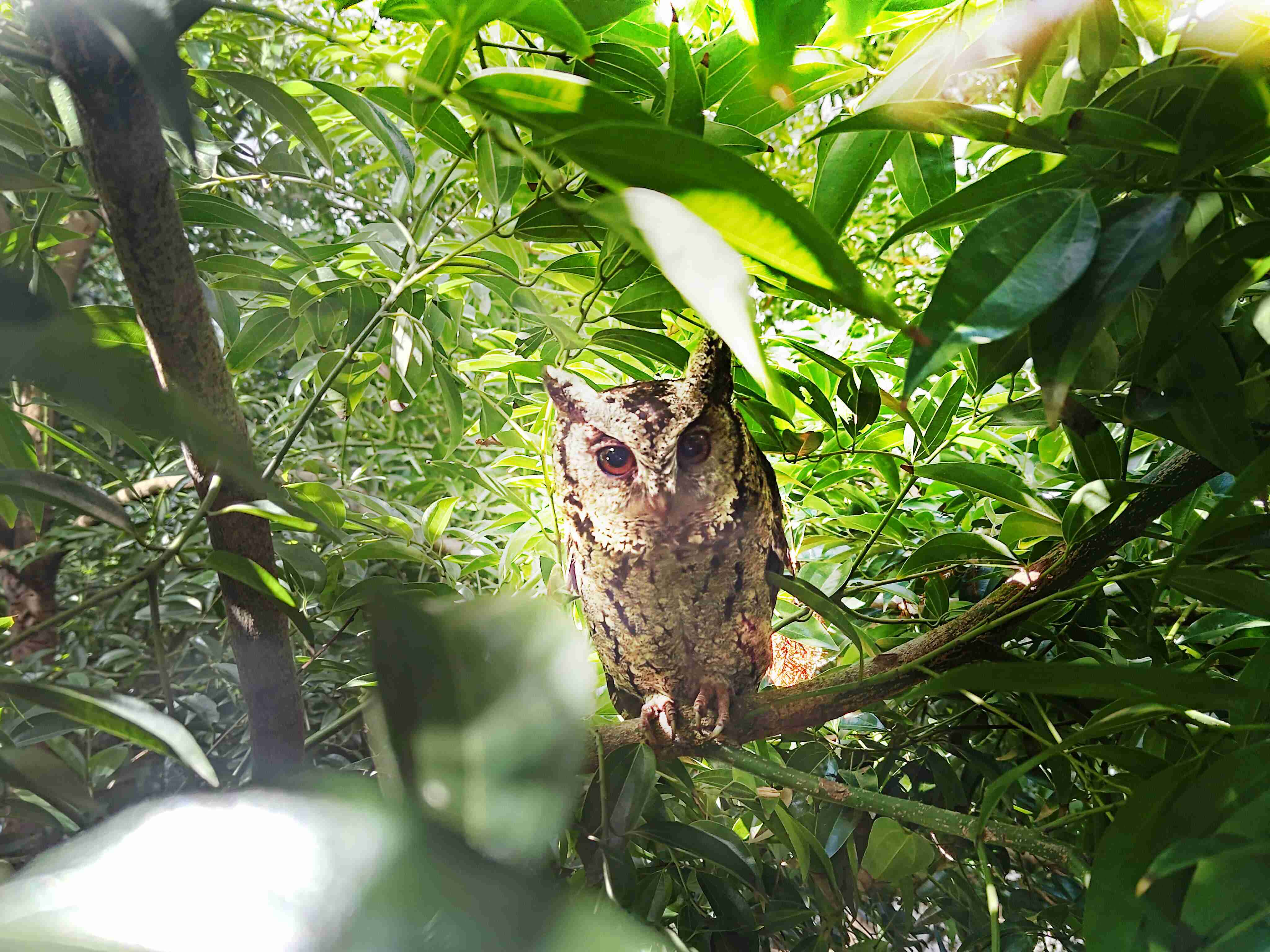 z6尊龙致力提倡净零绿生活，，，，16年以来在全球各厂区植树逾百万棵，，，，造就各厂区树木蔚然成林，，，，犹如森林工厂，，成为许多生物的栖息地